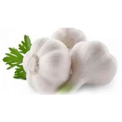 Garlic Imported